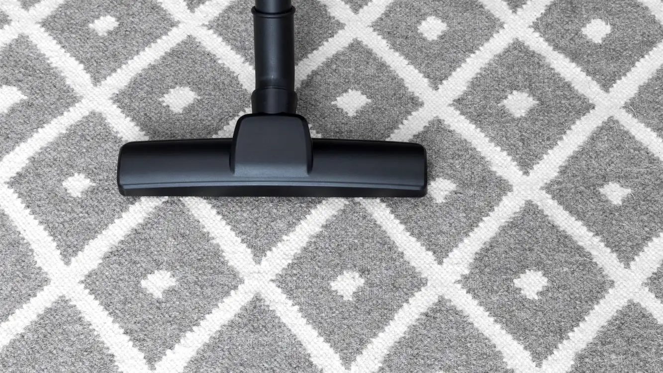 a vaccum cleaning a carpet